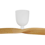 2 Blade 50" Aeratron AE2+ DC Ceiling Fan With Remote - Dubbo Lighting Centre