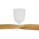 2 Blade 50" Aeratron AE2+ DC Ceiling Fan With Remote - Dubbo Lighting Centre