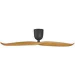 2 Blade 50" Aeratron AE2+ DC Ceiling Fan With Remote - Dubbo Lighting Centre