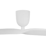 2 Blade 50" Aeratron AE2+ DC Ceiling Fan With Remote - Dubbo Lighting Centre