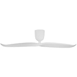 2 Blade 50" Aeratron AE2+ DC Ceiling Fan With Remote - Dubbo Lighting Centre