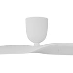2 Blade 60" Aeratron AE2+ DC Ceiling Fan With Remote - Dubbo Lighting Centre