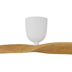 2 Blade 60" Aeratron AE2+ DC Ceiling Fan With Remote - Dubbo Lighting Centre