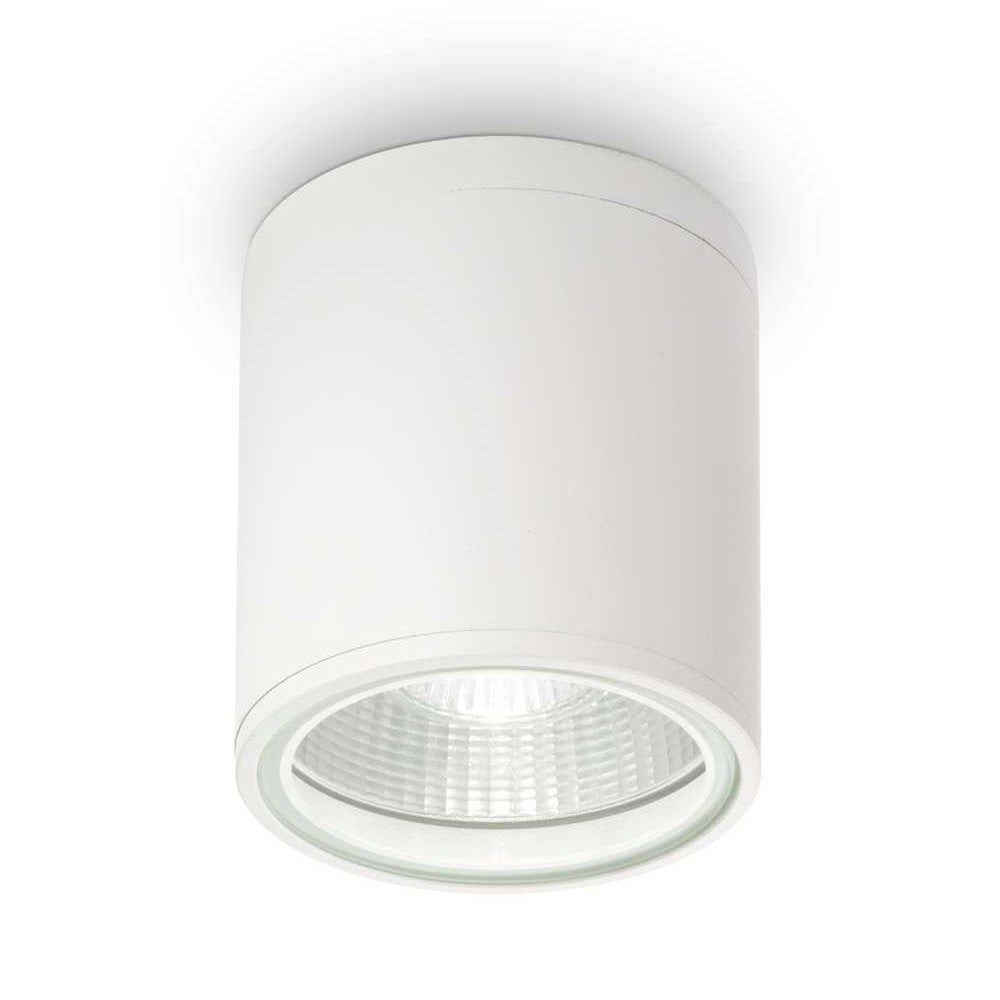 Gun IP44 Indoor / Outdoor Surface Mounted Downlight, White