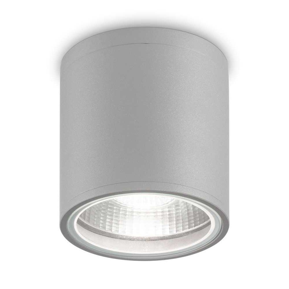 Gun IP44 Indoor / Outdoor Surface Mounted Downlight, Grey