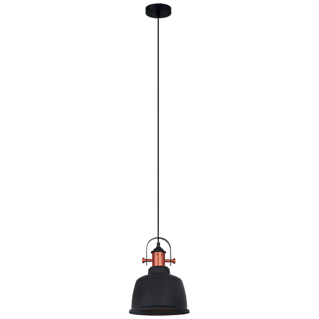 Alta Iron Pendant Light, Matt Black