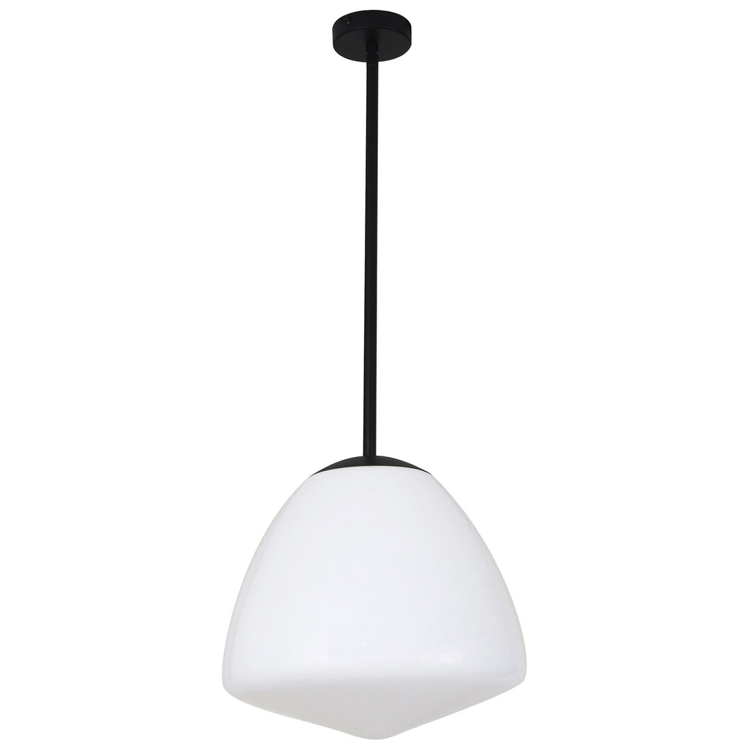 Ciotola Glass & Iron Pendant Light, Large, Black