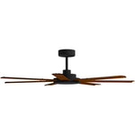 Calibo Alula 60" (1524mm) 7 Blade Indoor/Outdoor DC Ceiling Fan & Remote | Black & Koa - Dubbo Lighting Centre