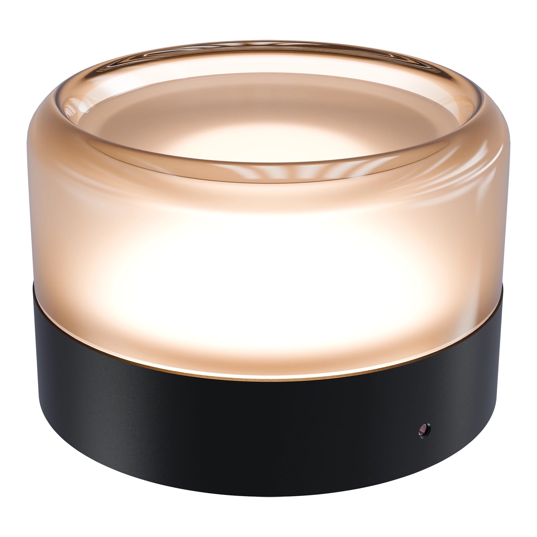 Calibo Gull Round Frosted Acrylic 3CCT LED Exterior Wall Light | Black - Dubbo Lighting Centre