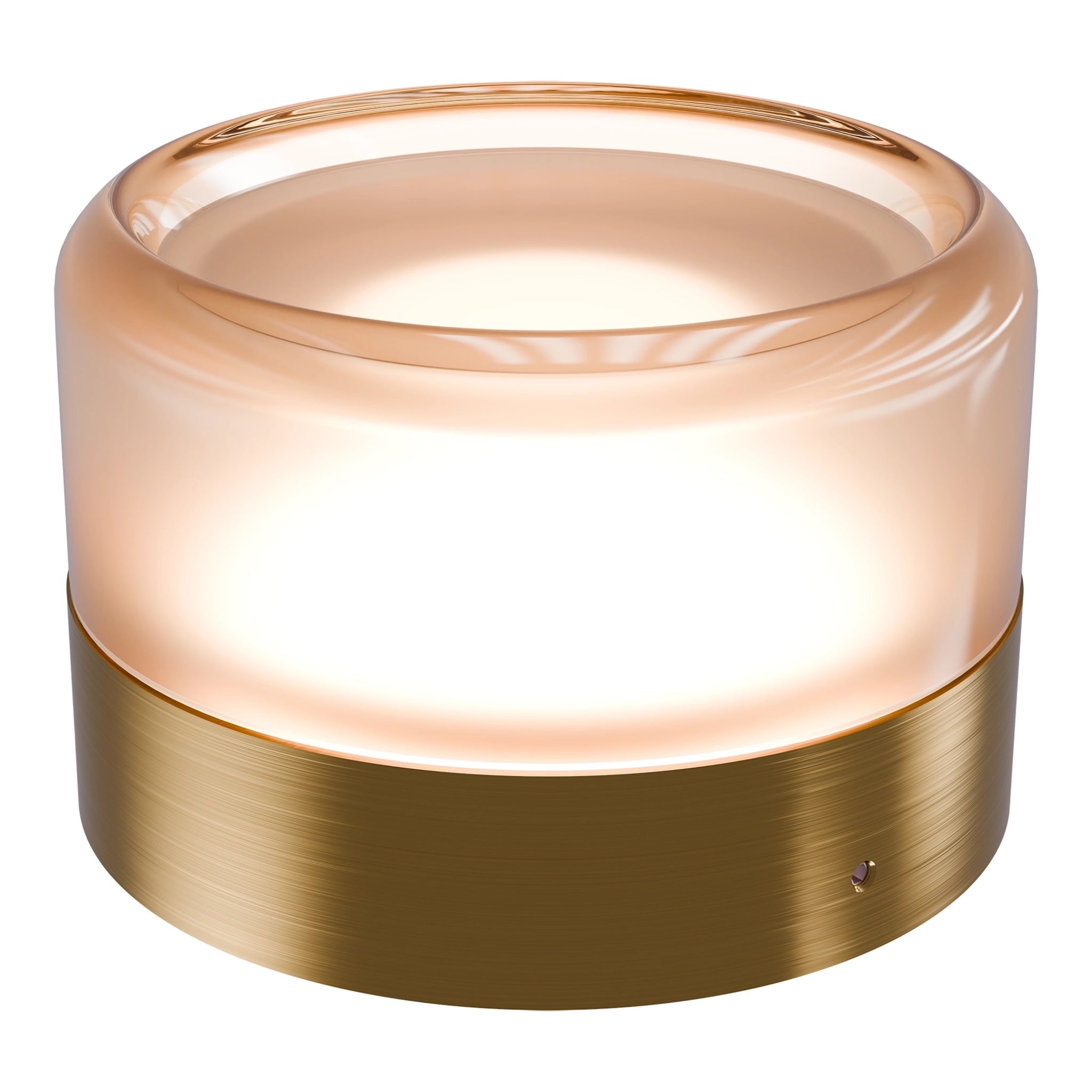 Calibo Gull Round Frosted Acrylic 3CCT LED Exterior Wall Light | Brass - Dubbo Lighting Centre