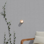 Calibo Gull Round Frosted Acrylic 3CCT LED Exterior Wall Light | Brass - Dubbo Lighting Centre