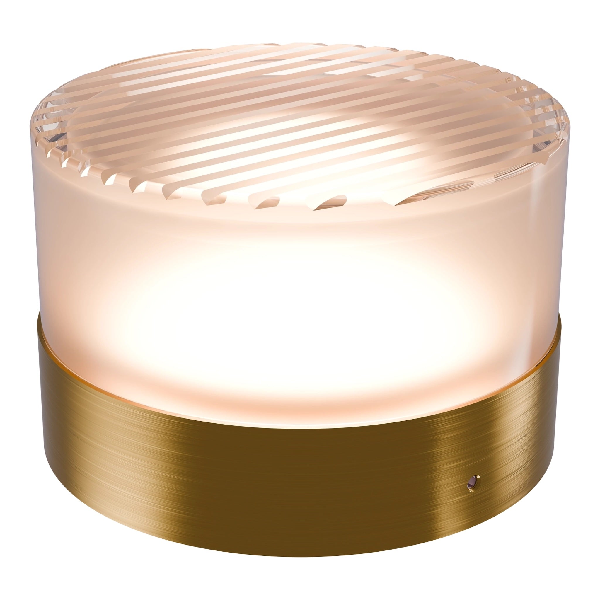 Calibo Gull Round Ribbed Acrylic 3CCT LED Exterior Wall Light | Brass - Dubbo Lighting Centre