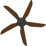 Calibo Storm 48" (1220mm) 5 Blade Indoor/Outdoor DC Ceiling Fan and Remote | Black & Koa - Dubbo Lighting Centre