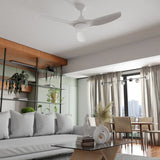CloudFan 48" (1220mm) ABS DC Ceiling Fan with Remote Control - Dubbo Lighting Centre