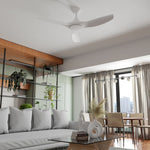 CloudFan 60" (1520mm) ABS DC Ceiling Fan with 20W CCT LED Light and Remote - Dubbo Lighting Centre