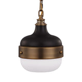 Cadence Metal & Glass Pendant Light, Small, Antique Brass / Matt Black