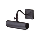 Conos Iron Adjustable Picture Wall Light, Small, Black