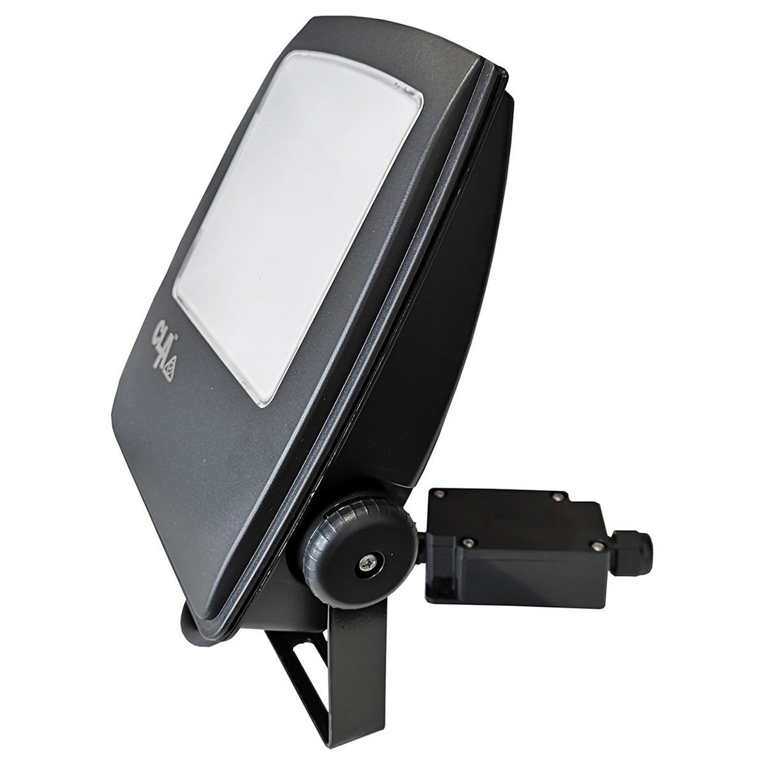 Bionic IP65 LED Floodlight, 30W, 5000K