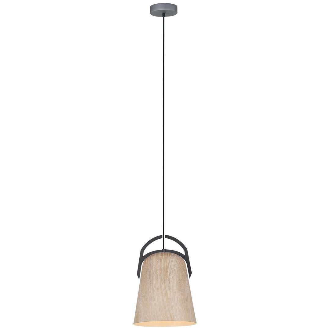 Legna Iron Pendant Light, Cone, Lime Washed Oak