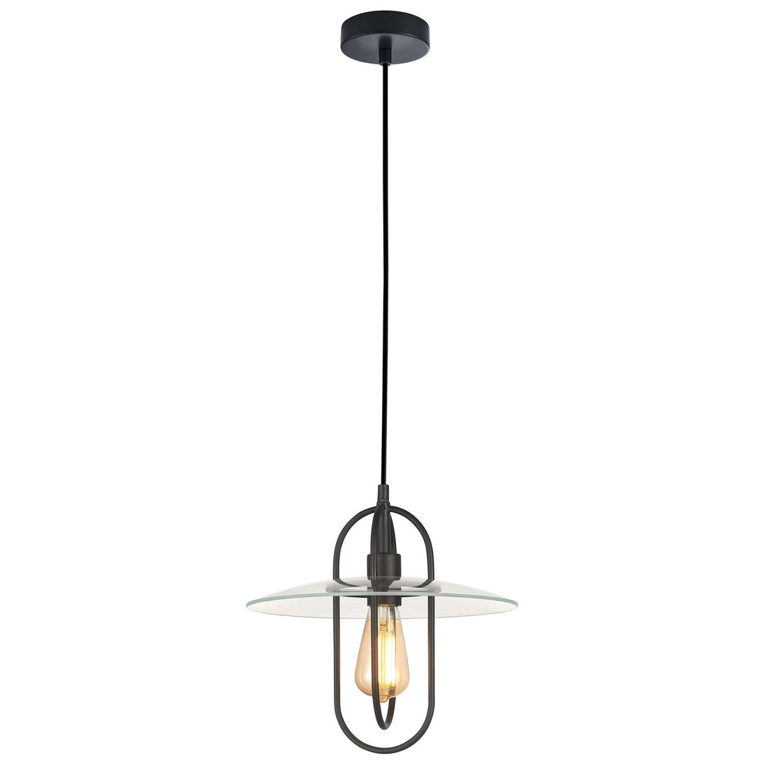 Papillon Iron & Glass Pendant Light, Black / Clear
