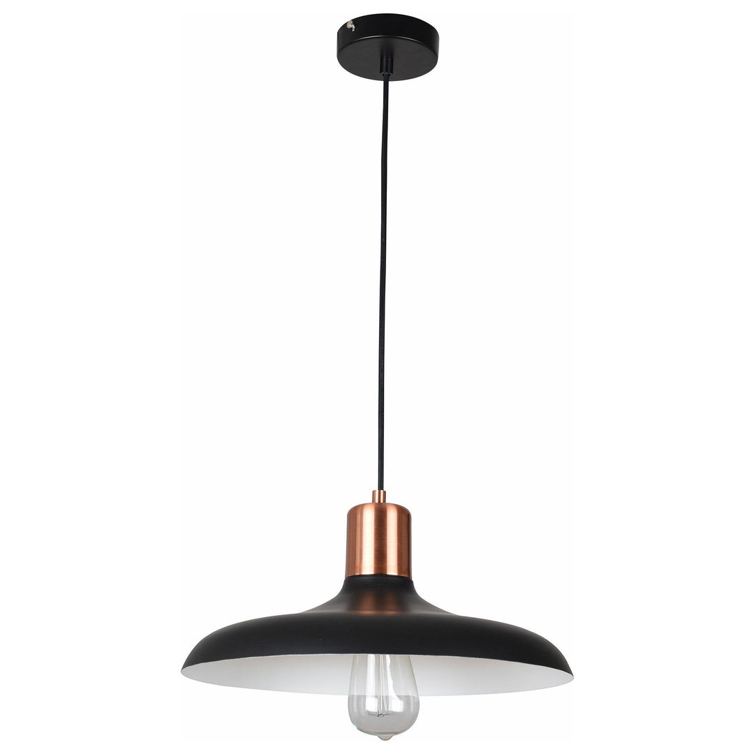Pastel Iron Pendant Light, Flat Dome, Matt Black