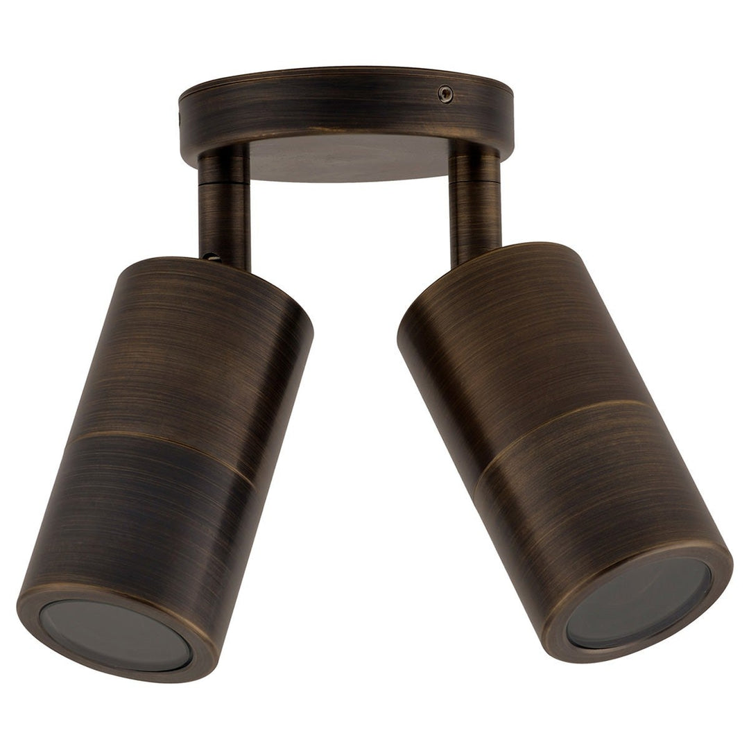 Roslin IP65 Exterior Double Adjustable Wall Light, GU10, Antique Brass