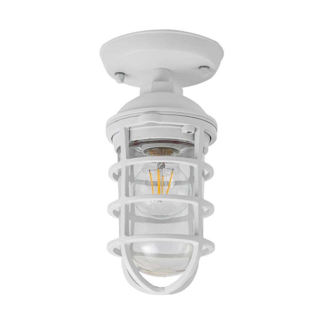 Villaku IP44 Aluminium & Glass Exterior Ceiling / Wall Lights, White