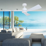 Vencha Bronte 52" DC Ceiling Fan with Light and Remote - Dubbo Lighting Centre