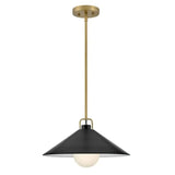 Hinkley Milo 1 Light Pendant by Lark | Lacquered Brass & Black