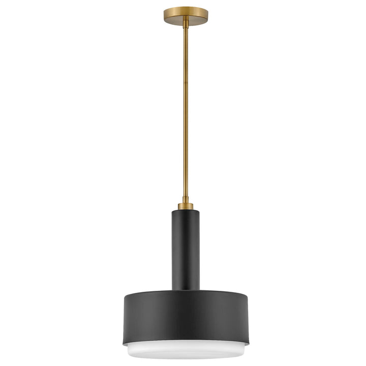 Hinkley Cedric Medium Pendant Light | Black