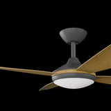 Calibo Vanga 52" DC Smart Ceiling Fan with LED Light and Remote Control | Black and Teak