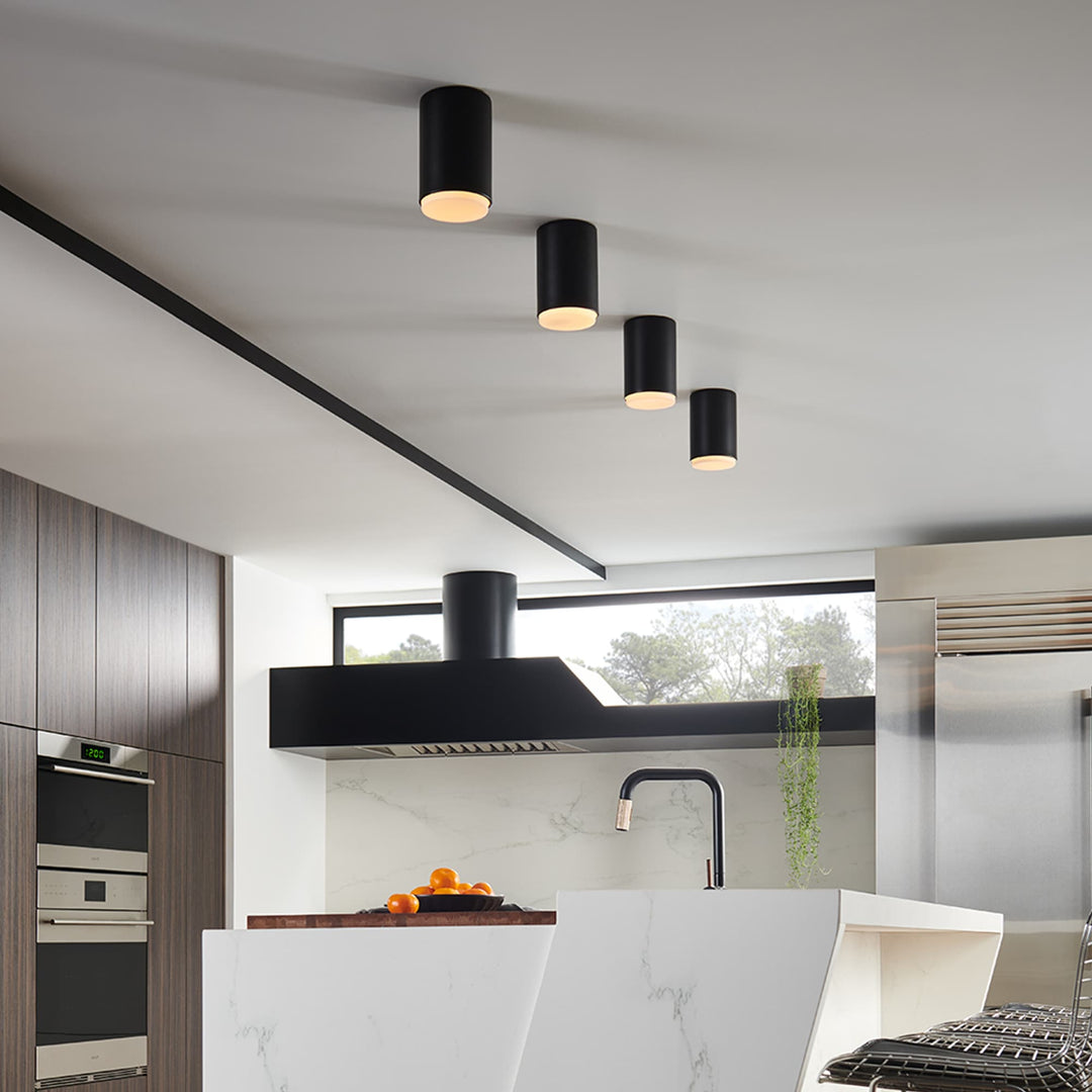 Hinkley Cedric Extra Small Flush Mount | Black