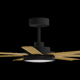 Calibo Alula 60" (1524mm) 7 Blade Indoor/Outdoor DC Ceiling Fan with 24W Light & Remote | Black & Teak