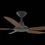 Calibo Storm 52" (1320mm) 5 Blade Indoor/Outdoor DC Ceiling Fan and Remote | Black & Koa