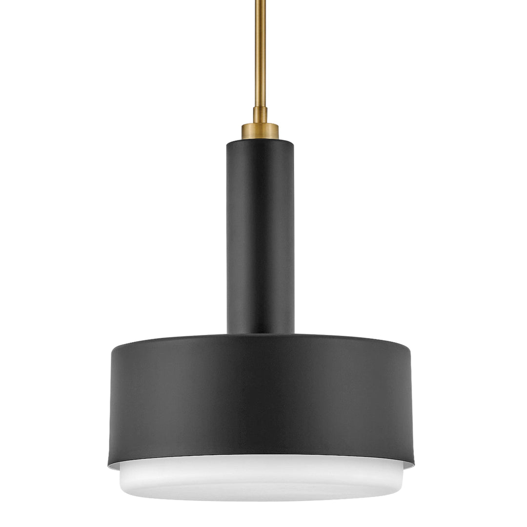 Hinkley Cedric Medium Pendant Light | Black