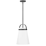 Hinkley Tori Medium Pendant Light by Lark | Black