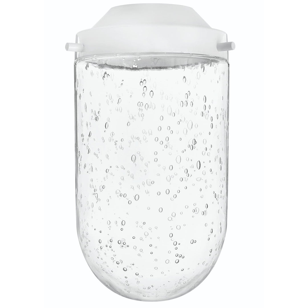 Hinkley Foundry Glass Accessory | Clear Seedy