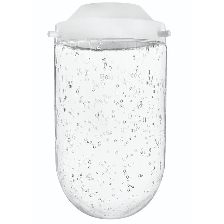 Hinkley Foundry Glass Accessory | Clear Seedy