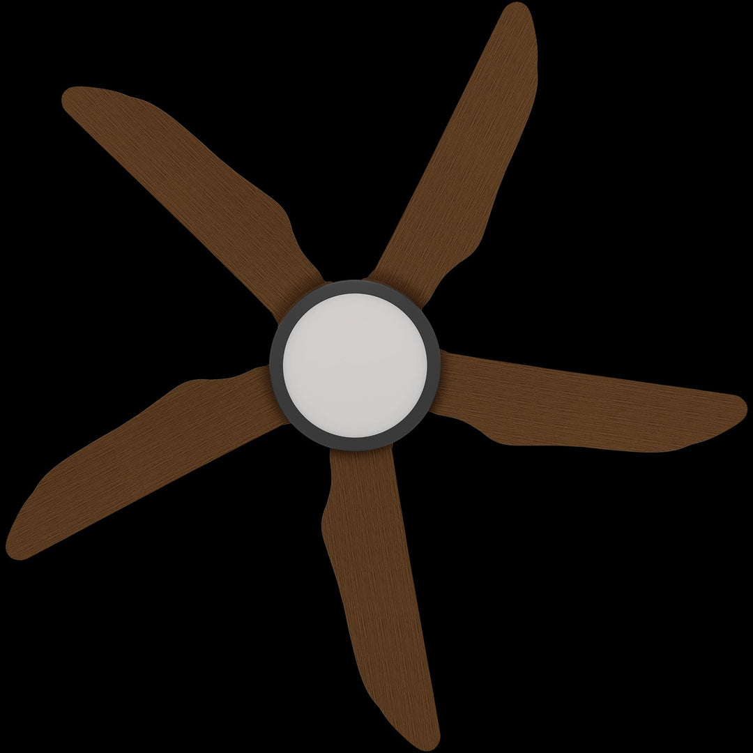 Calibo Storm 42" (1070mm) 5 Blade 18W Tricolour LED Light Indoor/Outdoor DC Ceiling Fan & Remote | Black & Koa