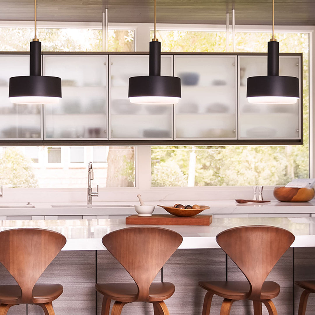 Hinkley Cedric Medium Pendant Light | Black