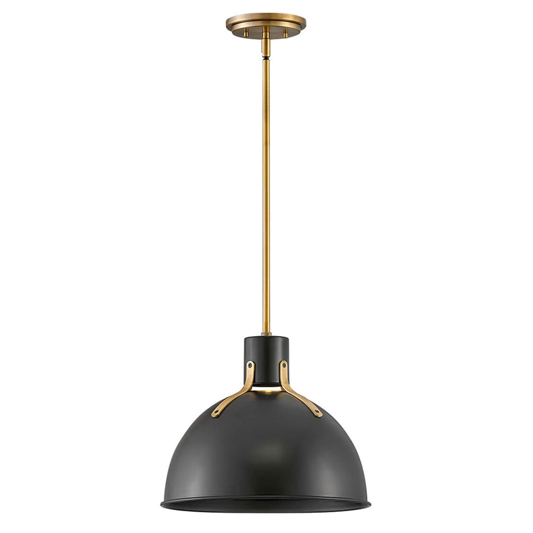 Hinkley Argo Medium Pendant Light | Satin Black