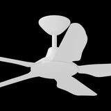 Calibo Storm 42" (1070mm) 5 Blade Indoor/Outdoor DC Ceiling Fan & Remote | White