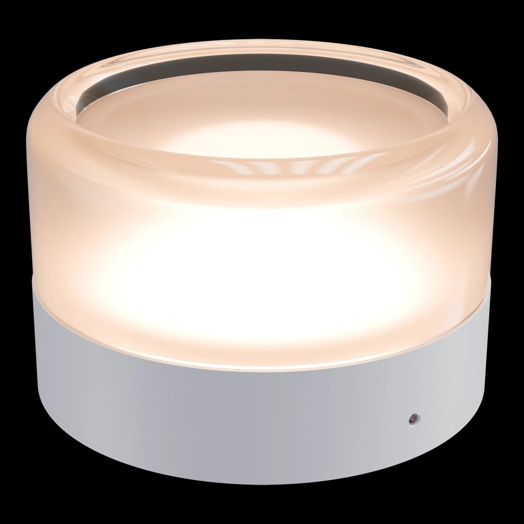 Calibo Gull Round Frosted Acrylic 3CCT LED Exterior Wall Light | White