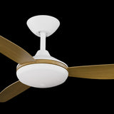 Calibo Condor 48" DC Smart Ceiling Fan with LED Light and Remote Control | White and Teak