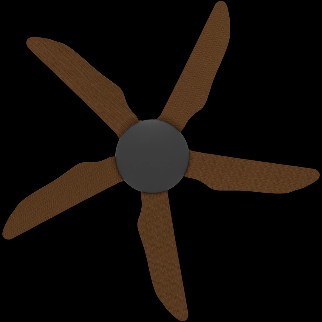 Calibo Storm 42" (1070mm) 5 Blade Indoor/Outdoor DC Ceiling Fan & Remote | Black & Koa