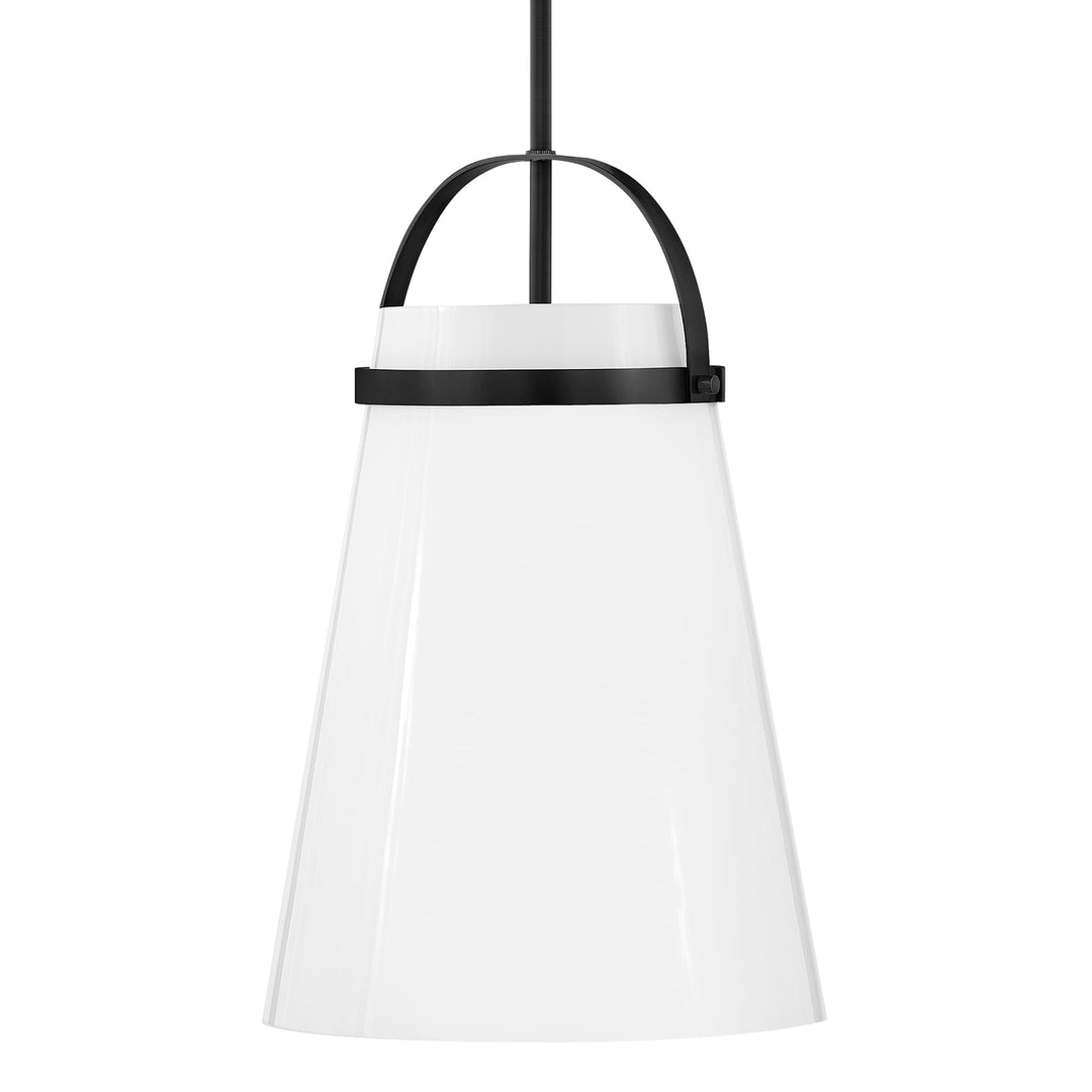 Hinkley Tori Medium Pendant Light by Lark | Black