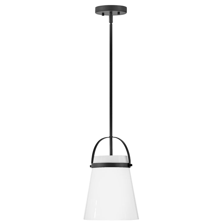 Hinkley Tori Small Pendant Light by Lark | Black