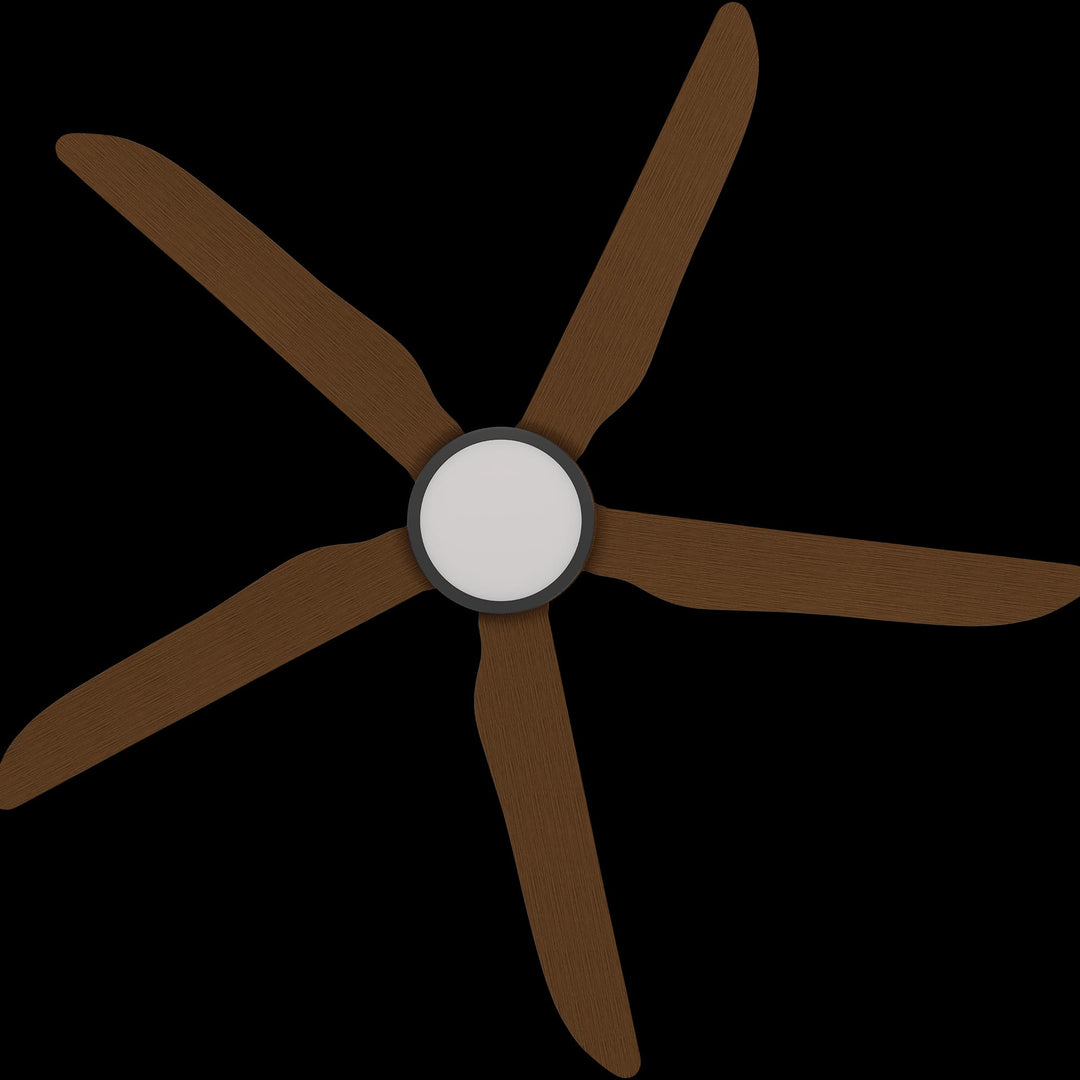 Calibo Storm 56" (1430mm) 5 Blade 18W Tricolour LED Light Indoor/Outdoor DC Ceiling Fan & Remote | Black & Koa