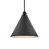Hinkley Arti Medium Pendant Light | Black