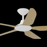 Calibo Storm 52" (1320mm) 5 Blade Indoor/Outdoor DC Ceiling Fan and Remote | White & Bamboo